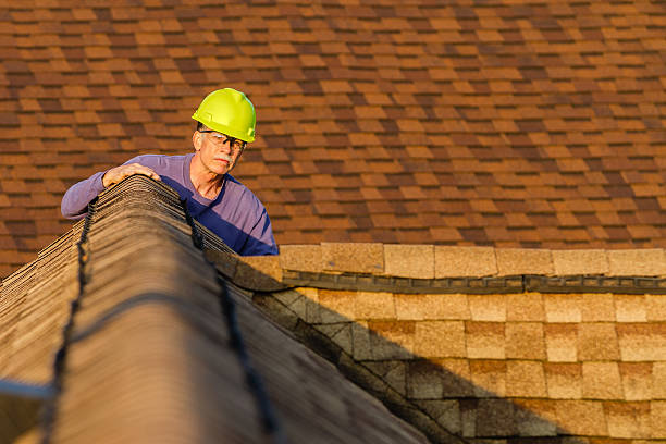 Best Roof Repair Services  in Delavan, WI